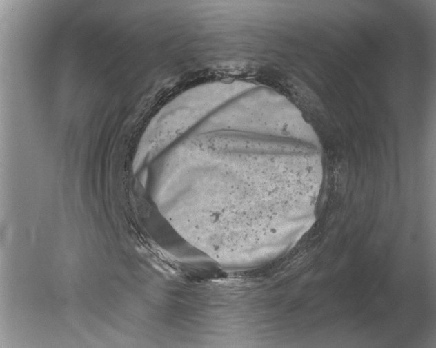 X0000079580961200612301402