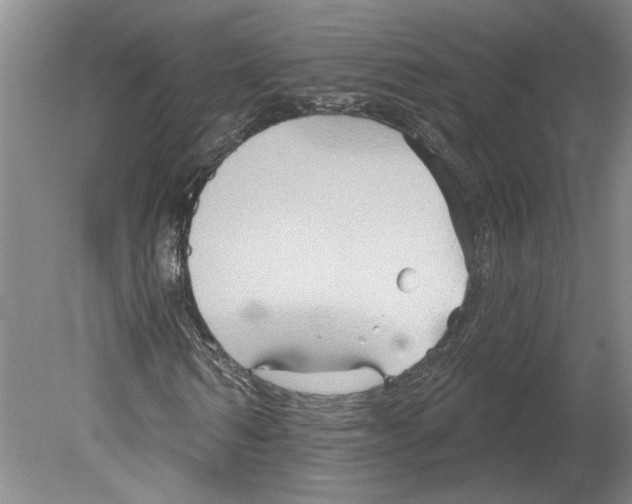 X0000079580962200612301402