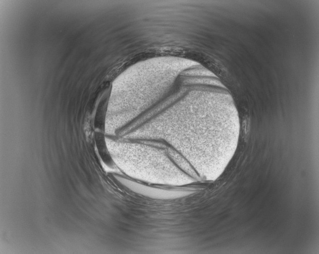 X0000079580963200612301402