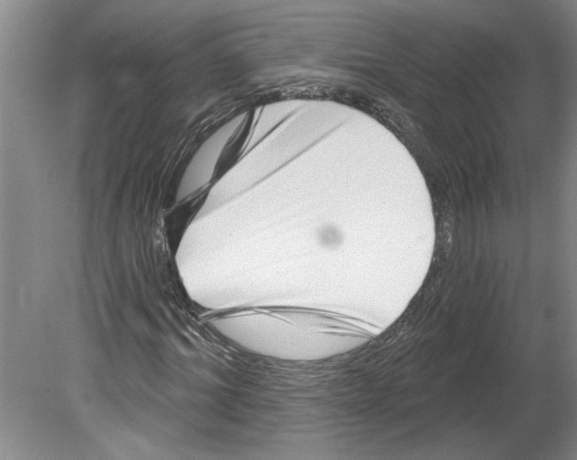 X0000079580964200612301402