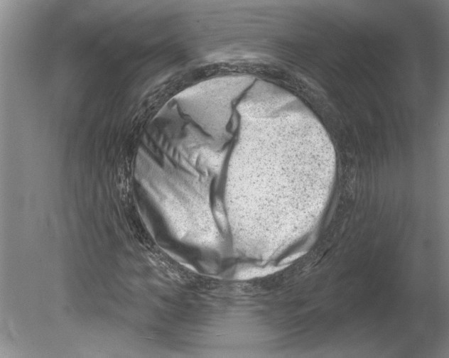 X0000079580966200612301402