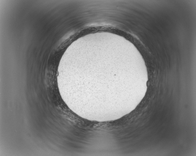 X0000079580967200612301402