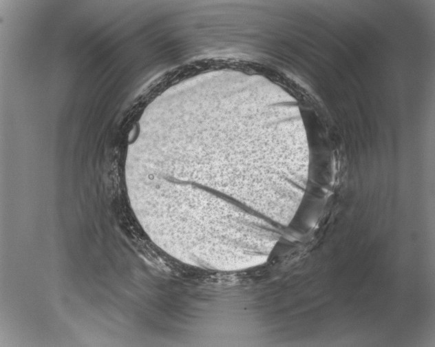 X0000079580968200612301402