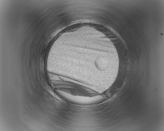 X0000079580969200612301402