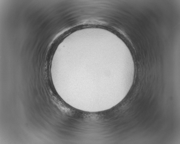 X0000079580971200612301402