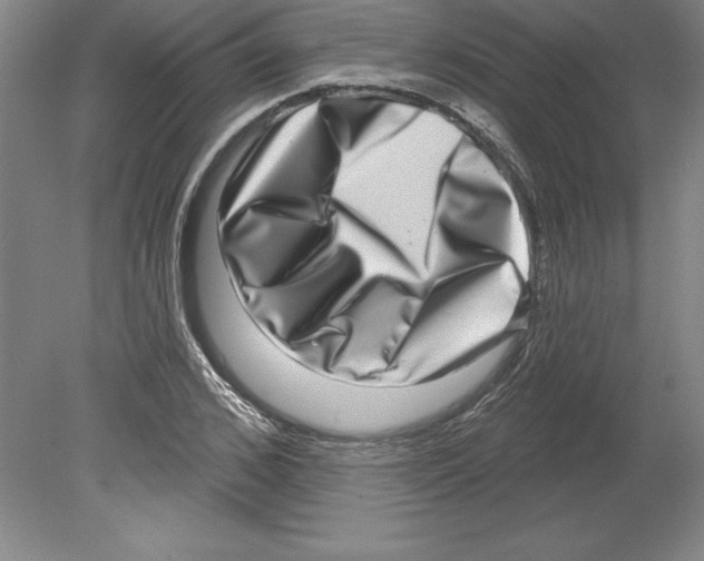 X0000079580976200612301402