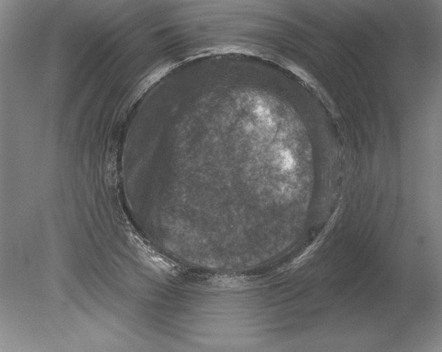 X0000079580977200612301402