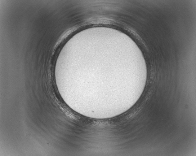 X0000079580978200612301402