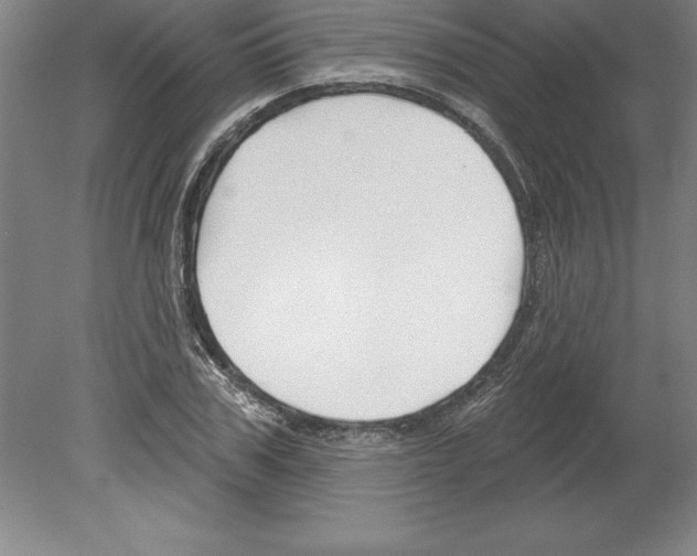 X0000079580979200612301402