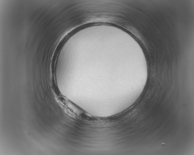 X0000079580980200612301402