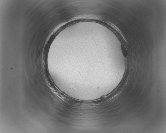 X0000079580981200612301402