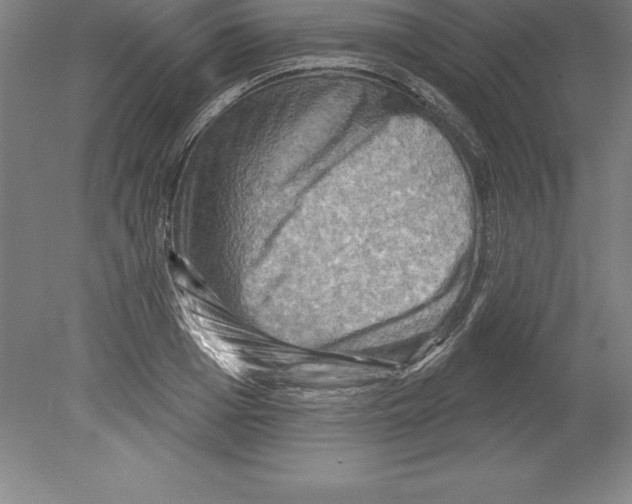 X0000079580985200612301402