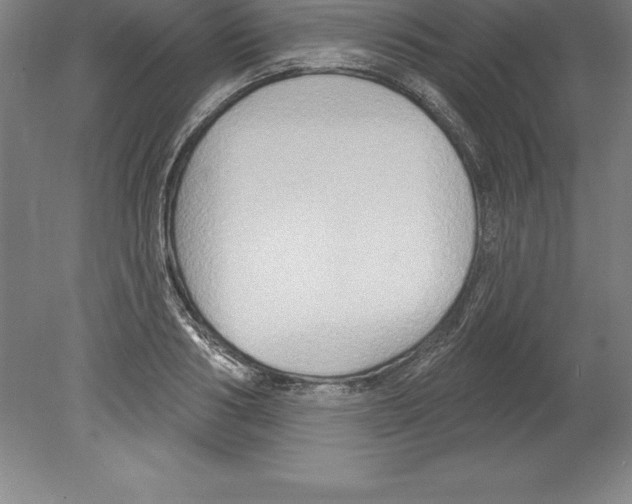 X0000079580986200612301402