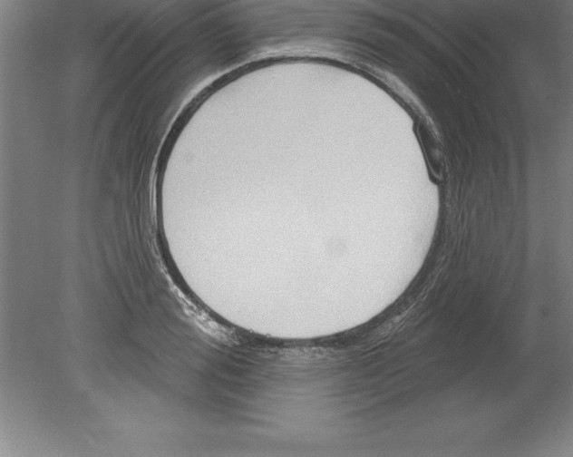 X0000079580988200612301402