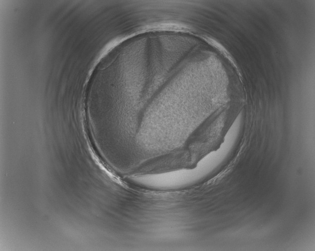 X0000079580989200612301402