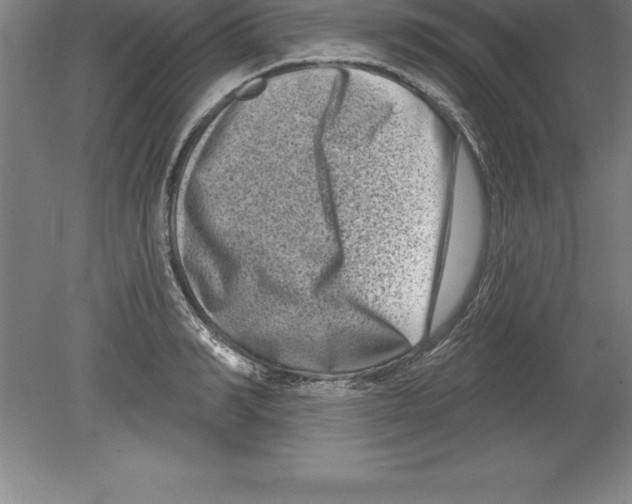 X0000079580990200612301402