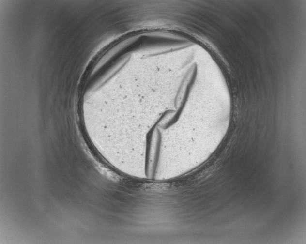 X0000079580991200612301402