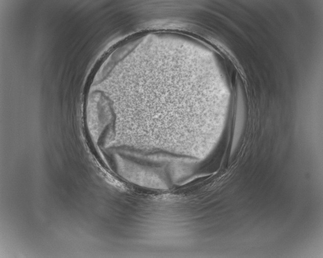 X0000079580992200612301402