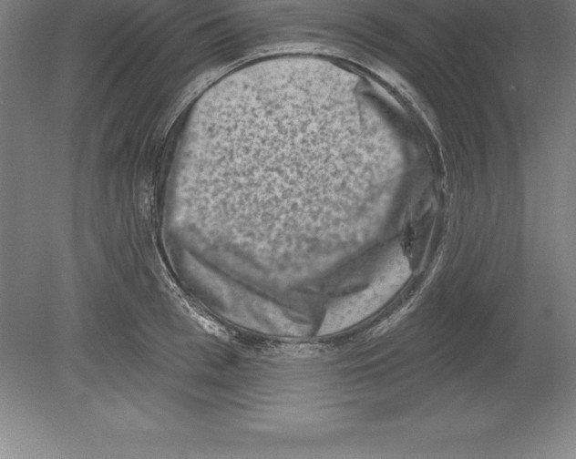 X0000079580993200612301402