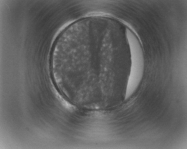 X0000079580995200612301402