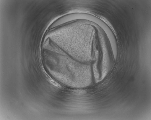 X0000079580996200612301402