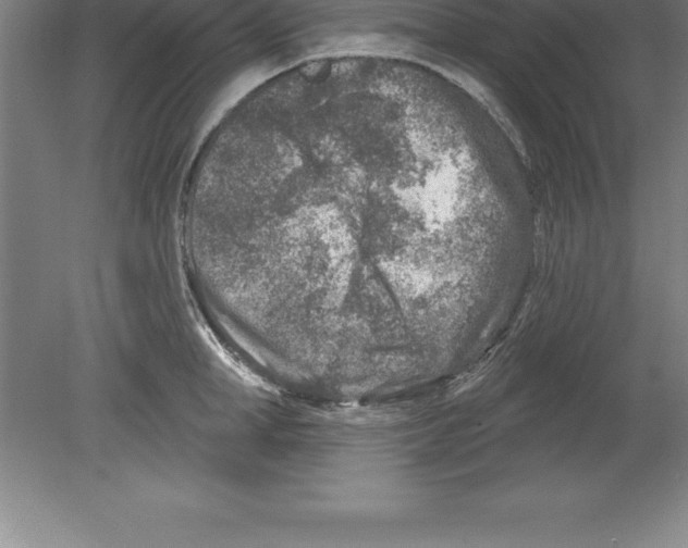 X0000079580998200612301402