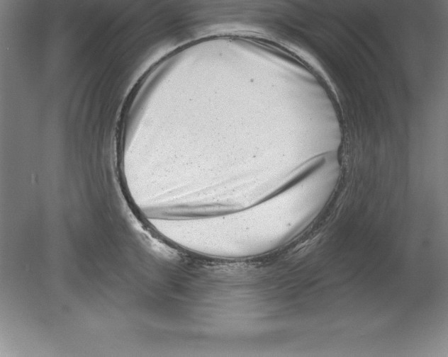 X0000079580999200612301402