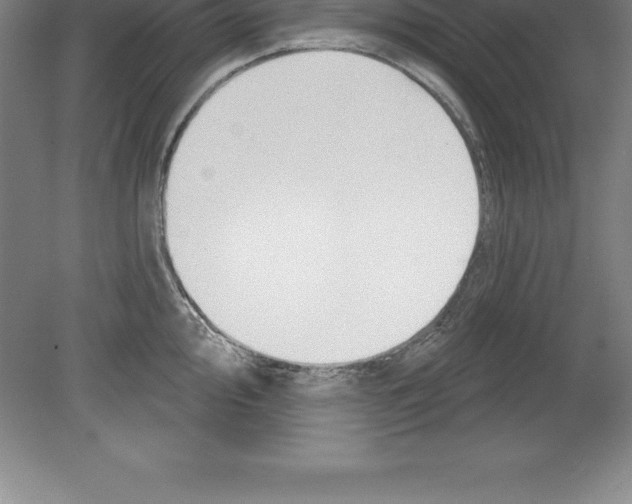 X0000079581000200612301402