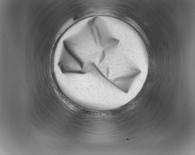 X0000079581002200612301402