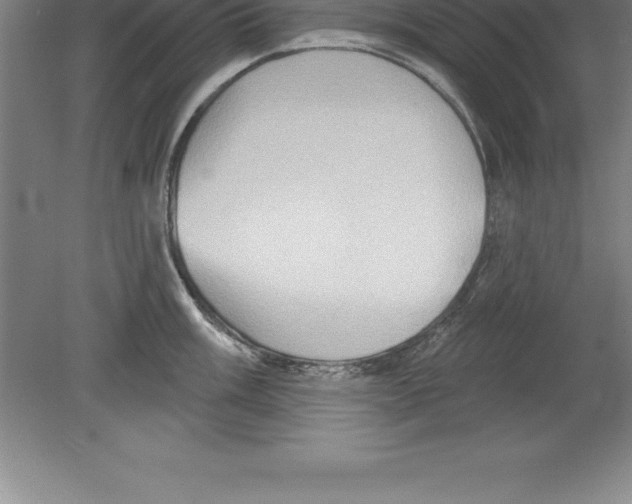 X0000079581003200612301402