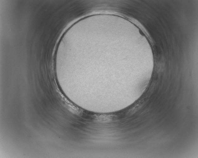 X0000079581004200612301402