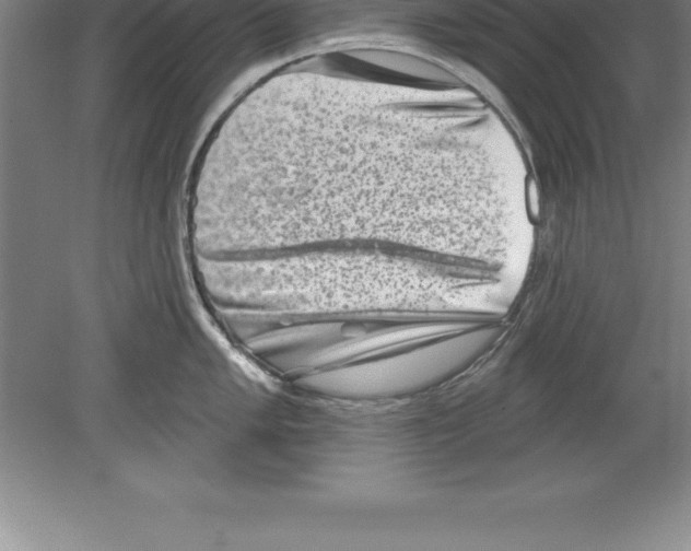 X0000079581005200612301402