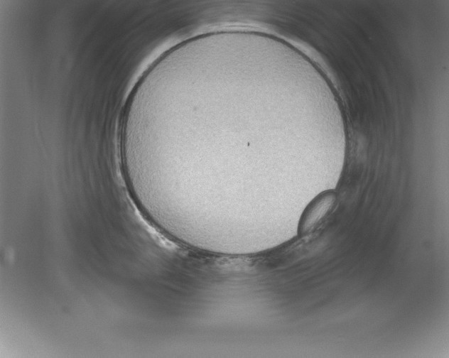 X0000079581006200612301402