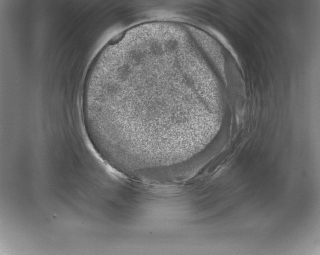 X0000079581007200612301402