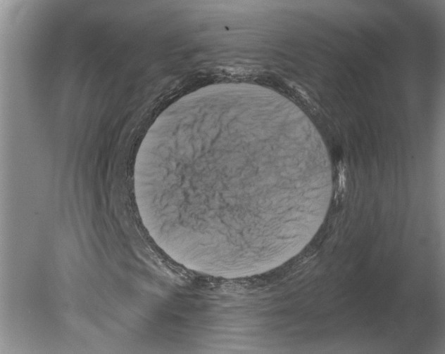 X0000079581009200612301401