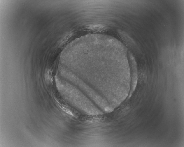 X0000079581010200612301401