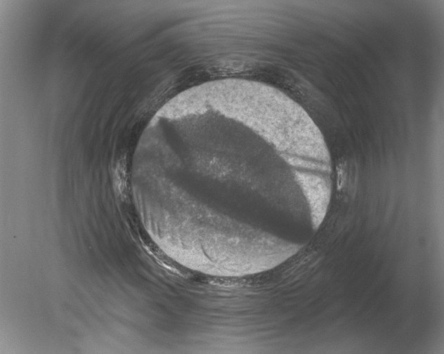 X0000079581011200612301401