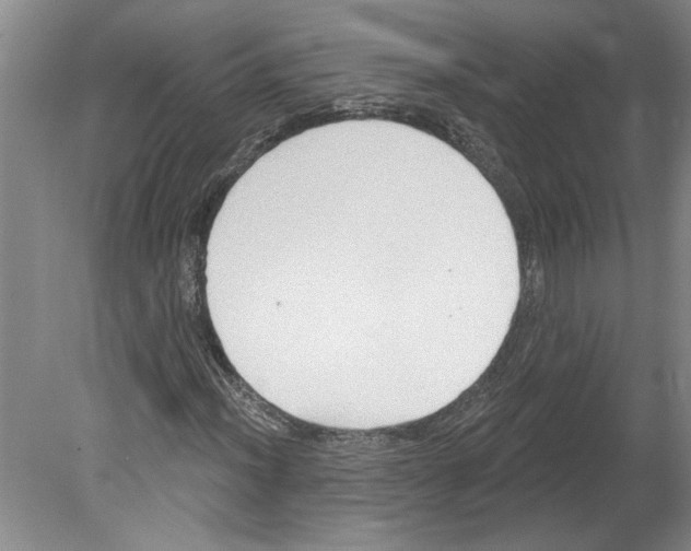 X0000079581012200612301401