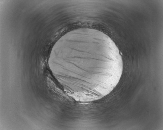 X0000079581013200612301401