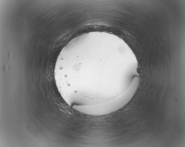 X0000079581014200612301401