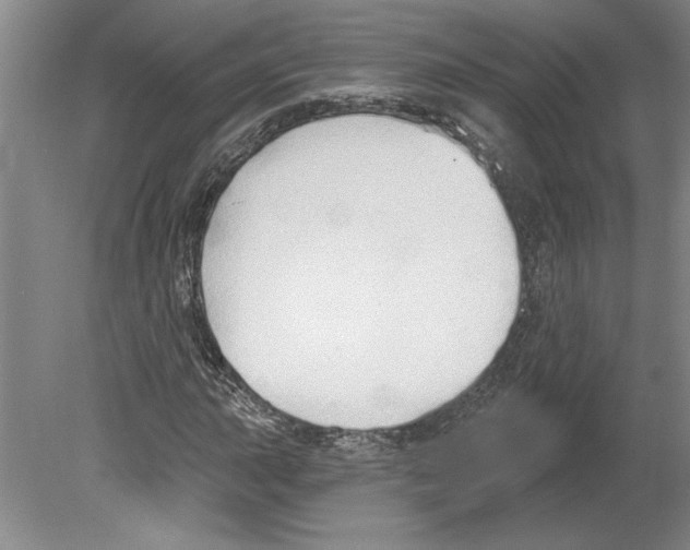 X0000079581015200612301401