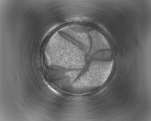 X0000079581018200612301401