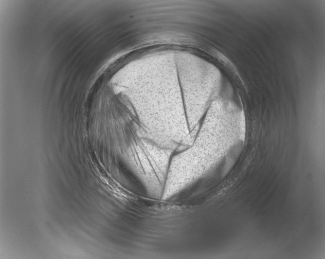 X0000079581019200612301401