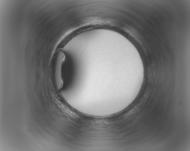 X0000079581021200612301401