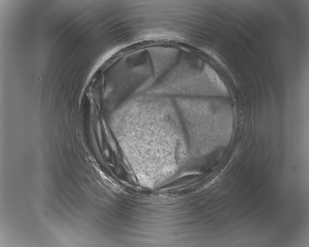 X0000079581022200612301401