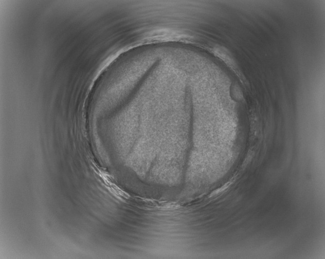 X0000079581023200612301401