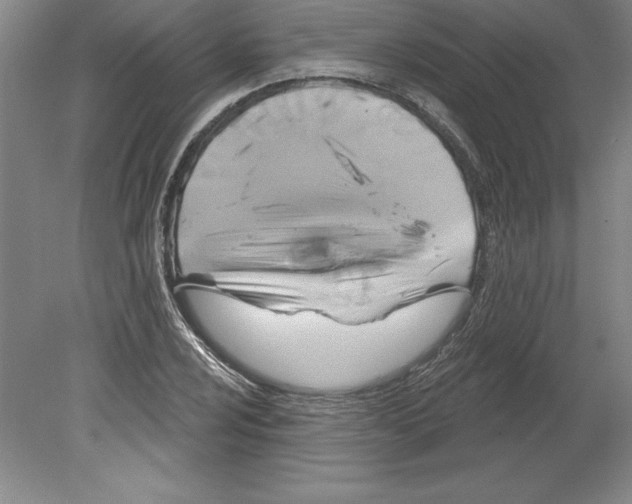 X0000079581024200612301401