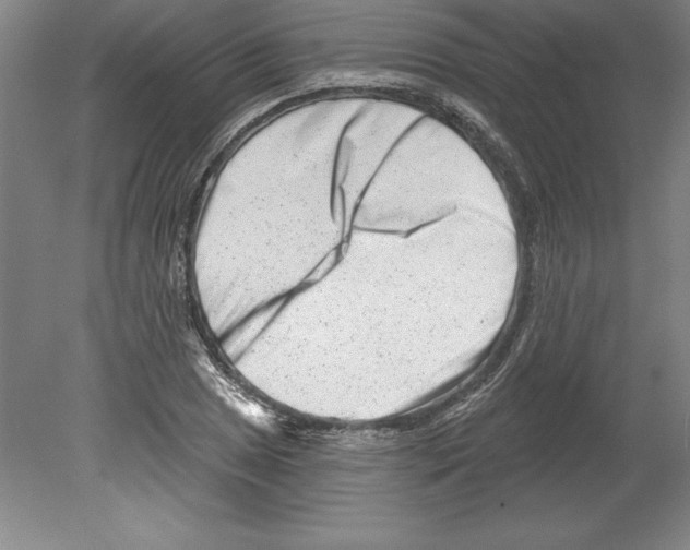 X0000079581025200612301401