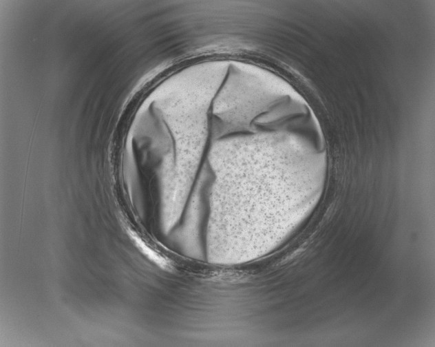 X0000079581026200612301401