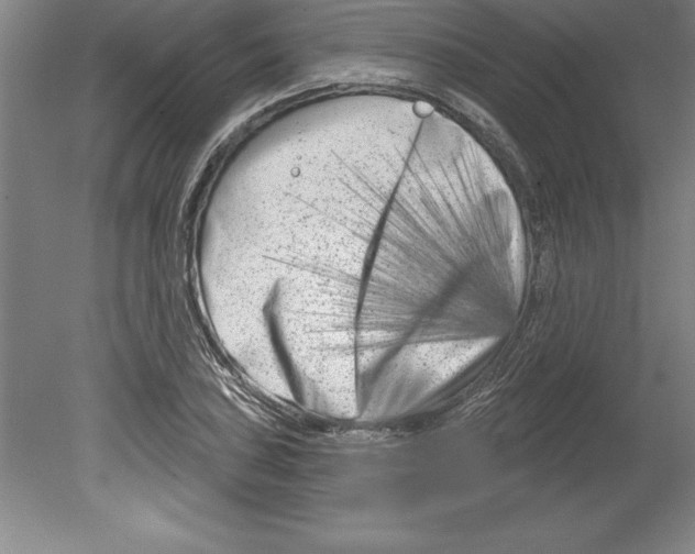 X0000079581027200612301401